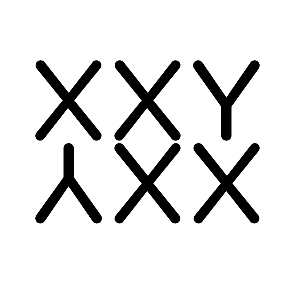 XXYXXY logo